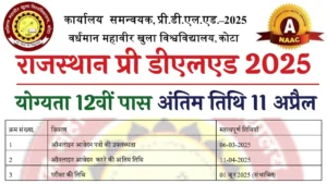 Rajasthan Pre DElEd 2025: